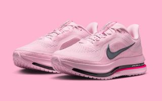 Fall 2025 Welcomes the Nike Pegasus Premium “Pink Foam”