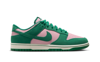 Nike buy nike dunk low sp champ colors online