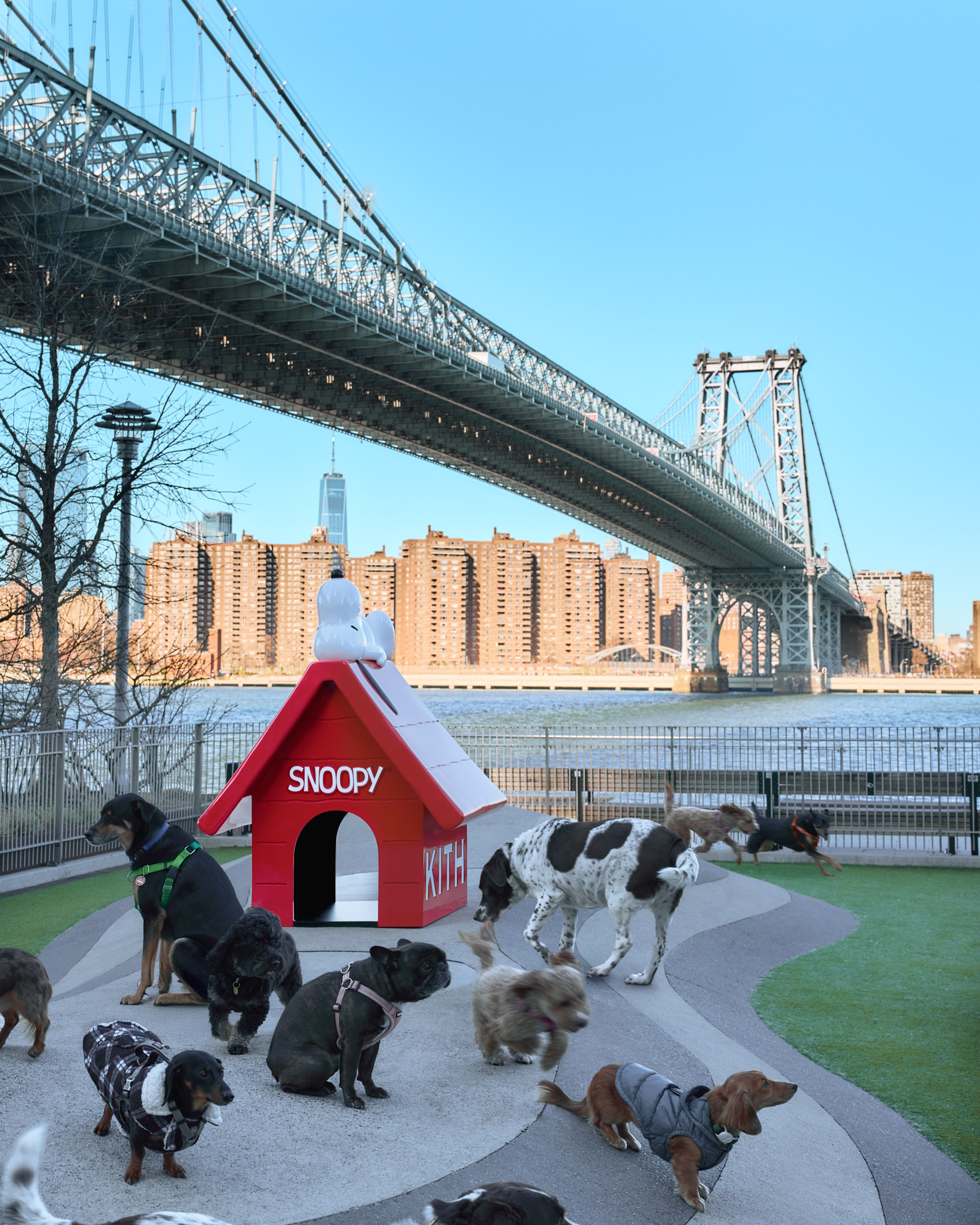 新品 Kith for Peanuts Snoopy Doghouse Kith for Peanuts~ ⁡ •Kith & Leblon Delienne for Peanuts