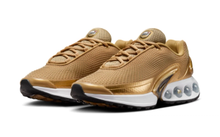 Official Images // Nike Air Max DN "Golden Bullet"