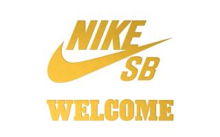 welcome skate madrid nike sb dunk low