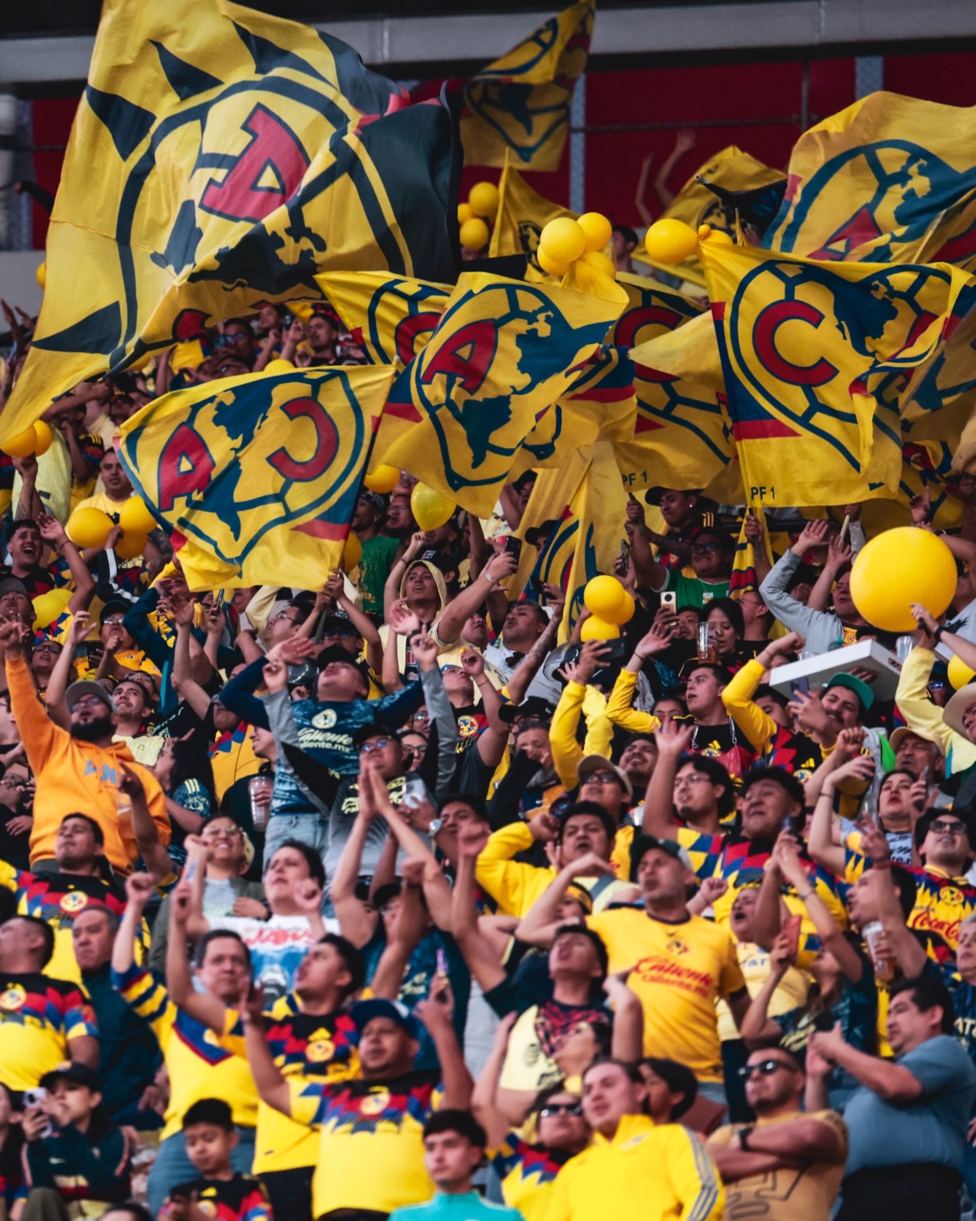 Fans of Mexico's Club América football club supporting from the stands, many wearing gear by adidas.