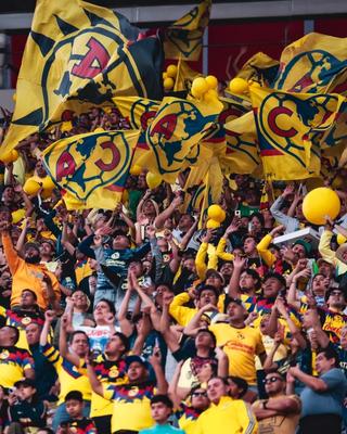 Fans of Mexico's Club América football club supporting from the stands, many wearing gear by adidas.