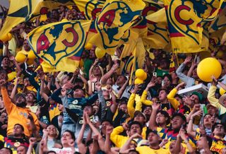 Fans of Mexico's Club América football club supporting from the stands, many wearing gear by adidas.