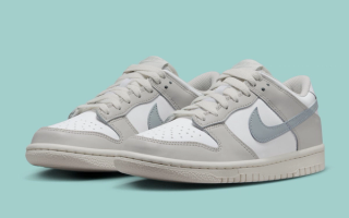 Nike Continues Its Dunk Evolution with the GS Dunk Low in "Phantom/Light Silver"