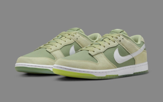 The Nike Dunk Low "Oil Green/Dusty Cactus" Releasing Fall 2024