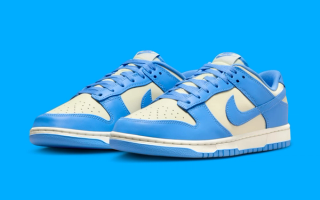 Available Now // Nike Dunk Low 'UNC'