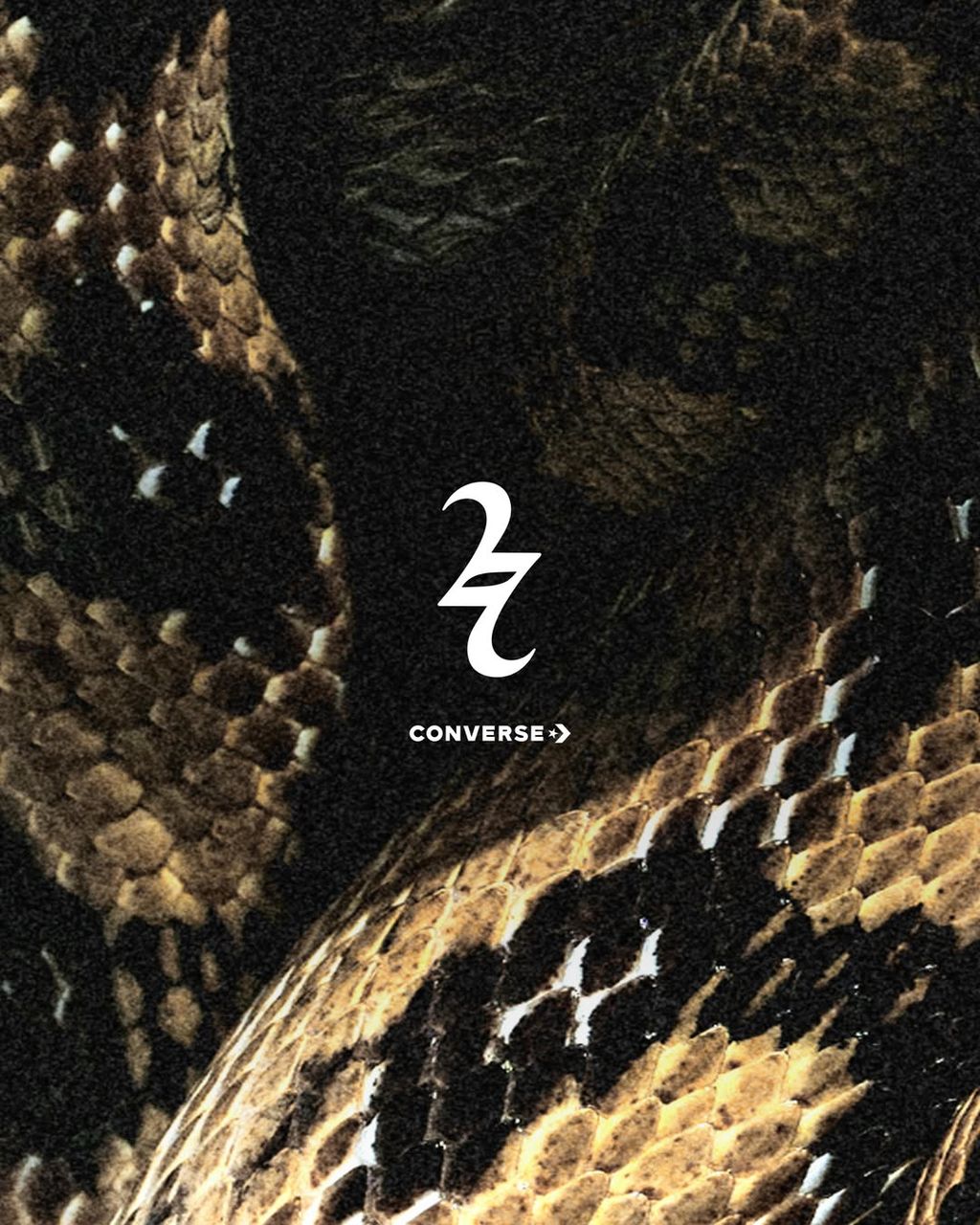 Converse SHAI 001 in snakeskin texture, showcasing scaled pattern on upper