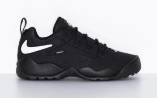 Supreme x Nike SB Darwin Low “Black”