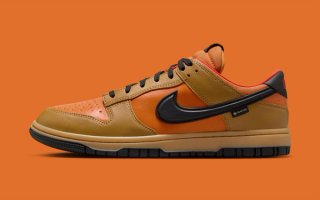 Nike's GORE-TEX-Protected Dunk Low Appears in a "Wheat/Ceramic" color scheme.