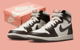 Women's Air Jordan 1 High OG "Light Madder Root" Drops September 9