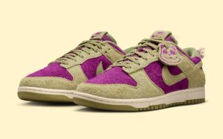 Nike Dunk Low “Panda-Monium” (Viotech) Roars in for Fall 2025