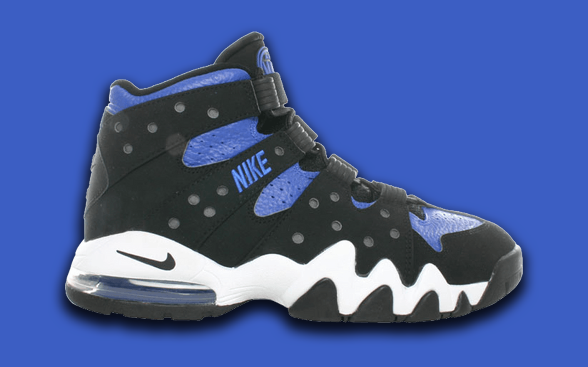 charles barkley nike air max 2