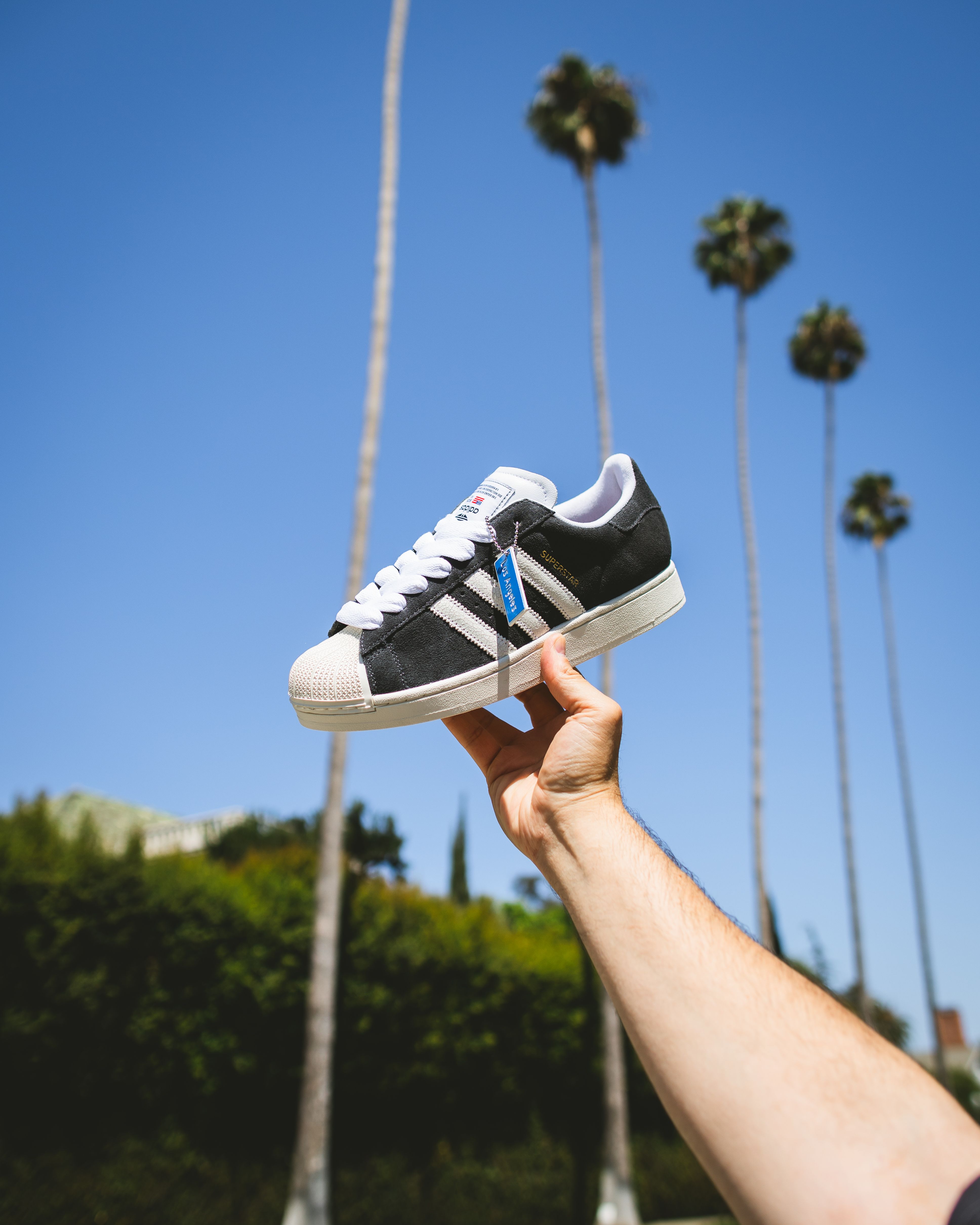 adidas gazelle silver green womens adidas Originals Campus 80s Los Angeles