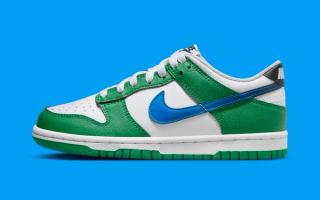 Available Now    Nike Dunk Low Gs 