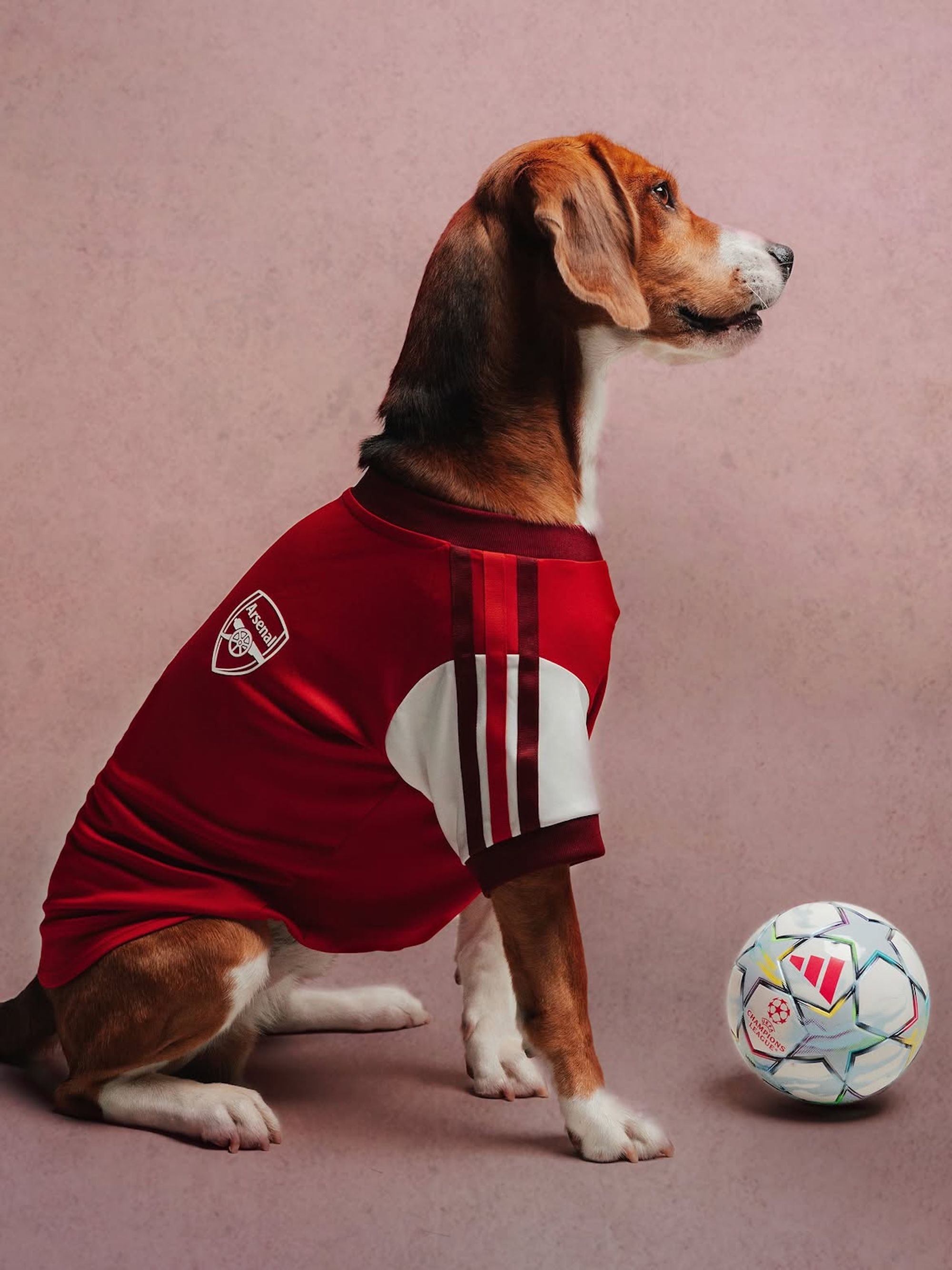 Arsenal 26/27 Pet Home Jersey. Photo via adidas.