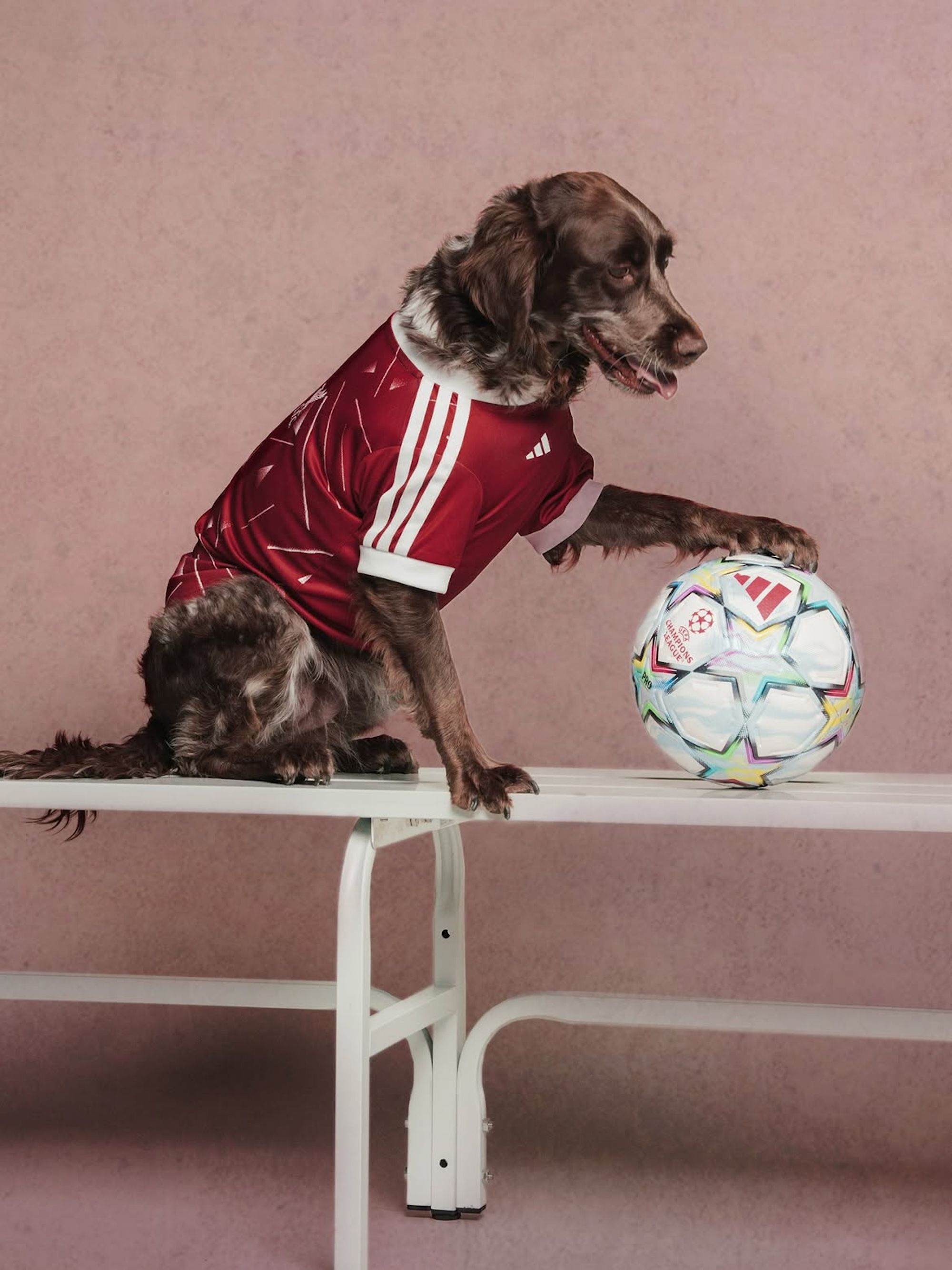 Liverpool FC 26/27 Pet Home Jersey. Photo via adidas.
