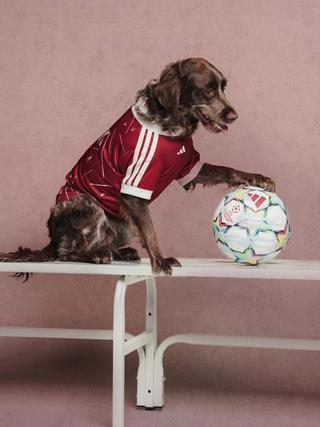 Liverpool FC 26/27 Pet Home Jersey. Photo via adidas.