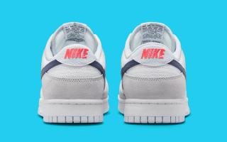 Nike Dunk Low Grey Mini Swoosh, FJ4227-001