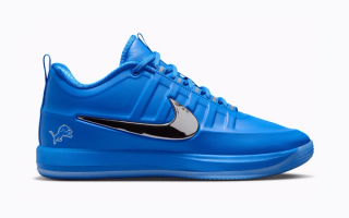 Nike Book 2 "Lions"
