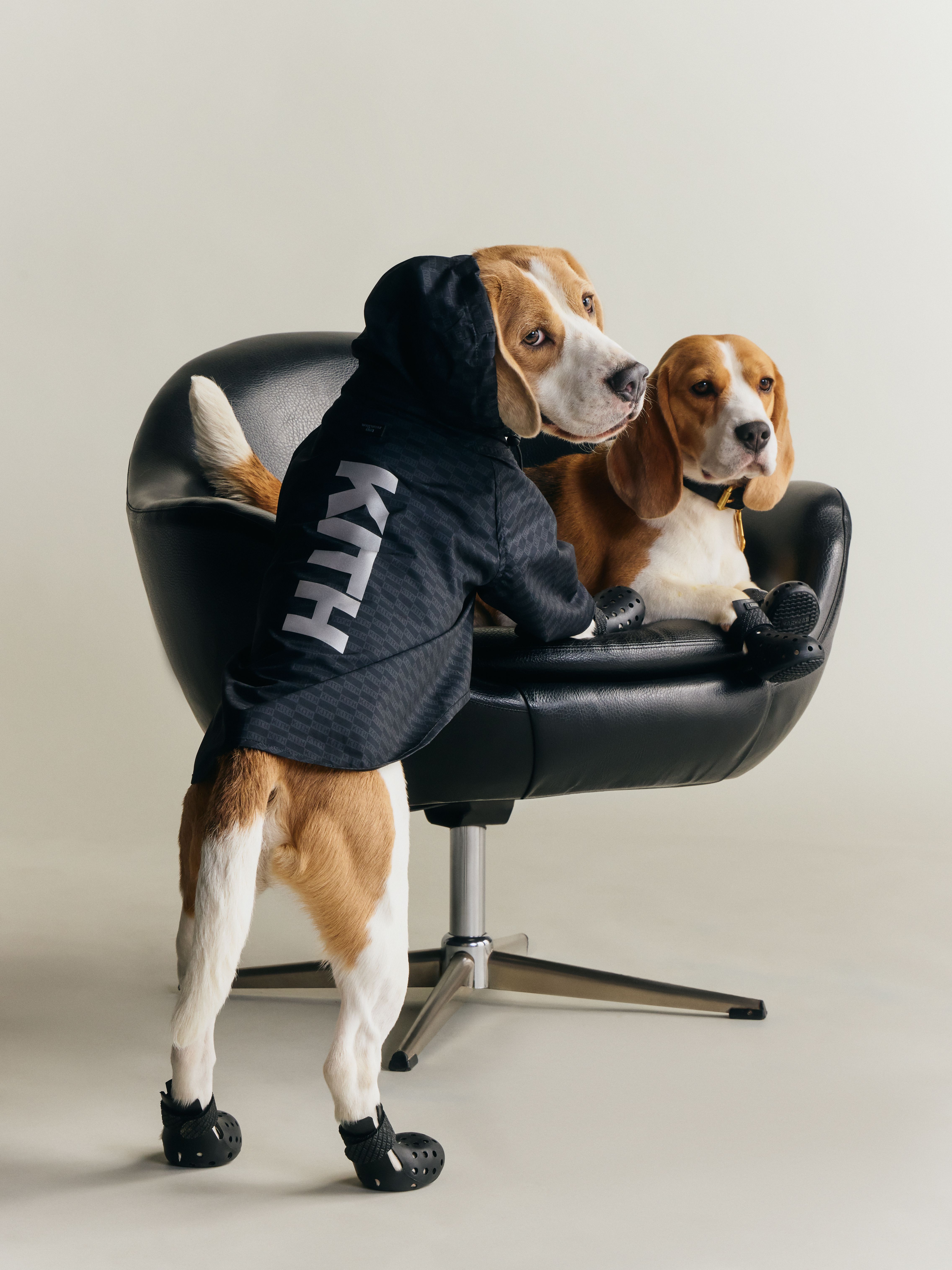 Kith Introduces First Pet Collection with wagwear | House of Heat°