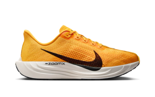 Nike Pegasus Plus LV8 "Mayfly"