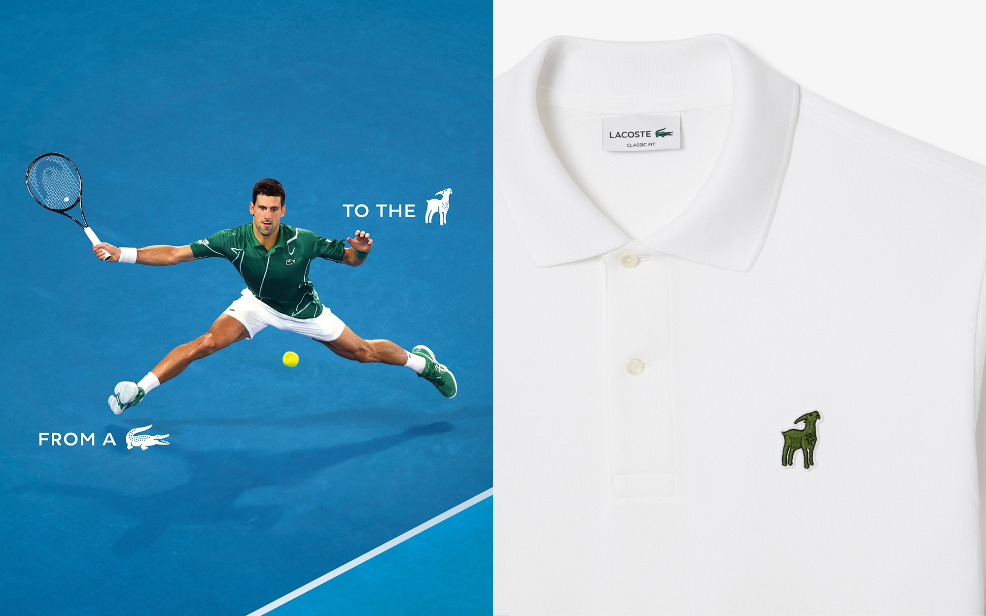 lacoste djokovic