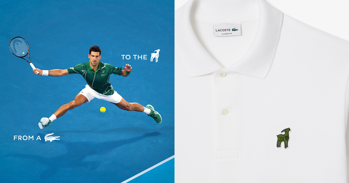 Stilvolle Novak Djokovic Lacoste Ebenbild