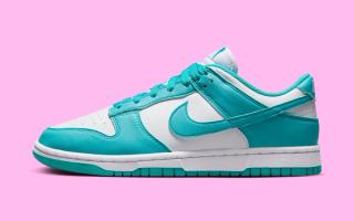 nike version dunk low next nature dusty cactus dd1873 105 2