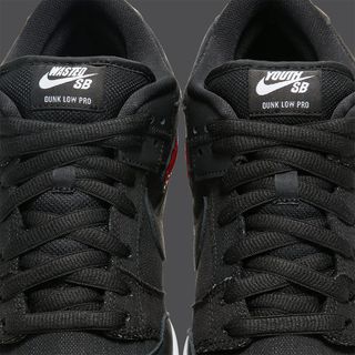 wasted youth nike sb dunk low DD8386 001 release date 7
