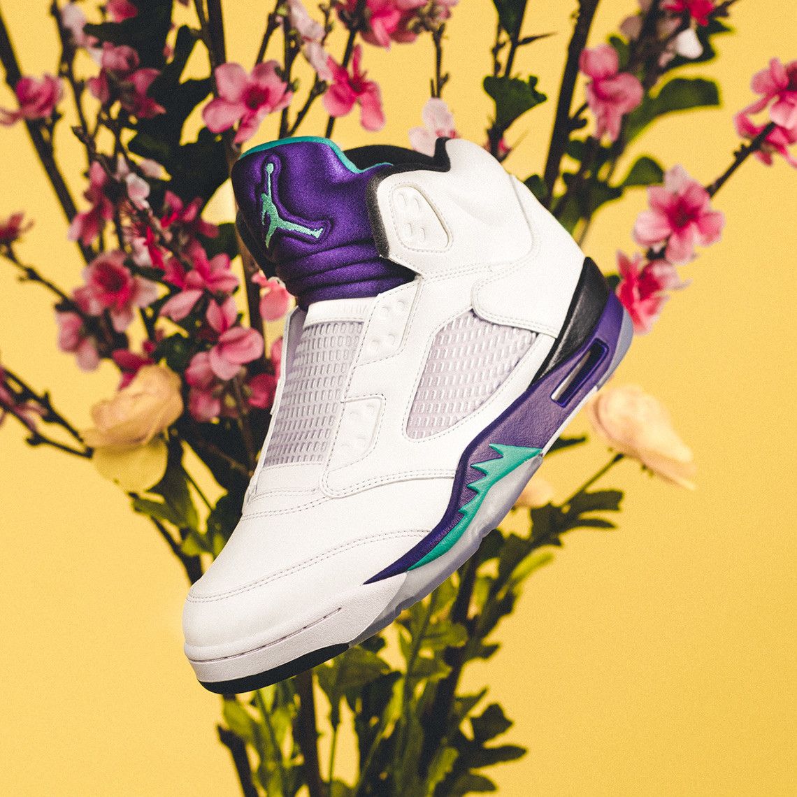 Fresh prince of bel best sale air jordan 5 2018