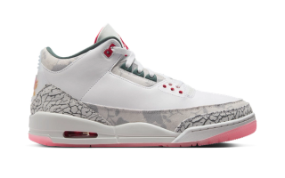 Air Jordan 3 "Wings"