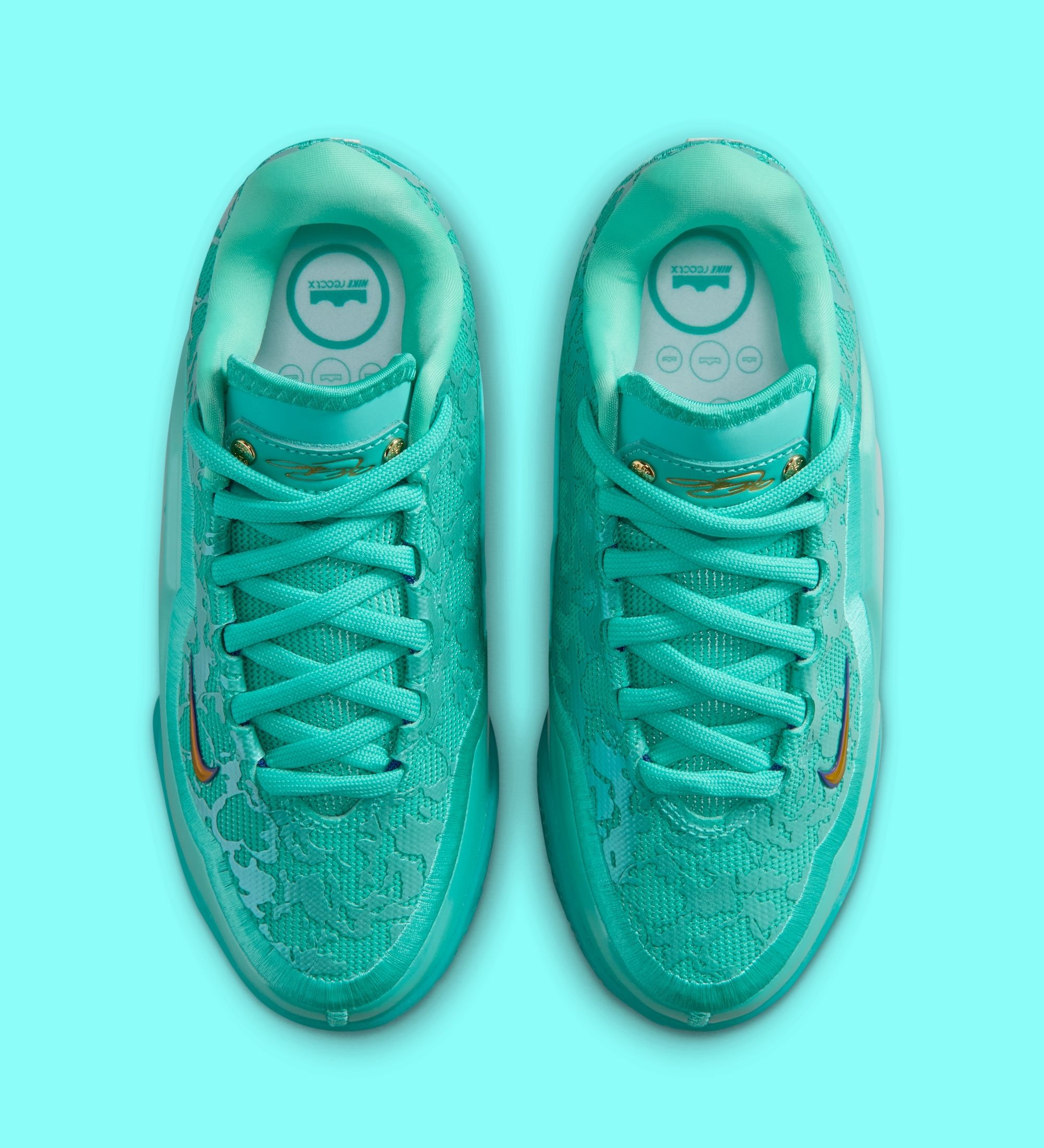 lebron james mlk shoes