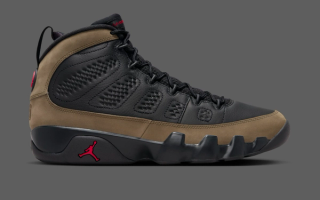 Air Jordan 9 “Olive”