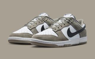 Olive-Toned Nike Dunk Low Drops This Fall