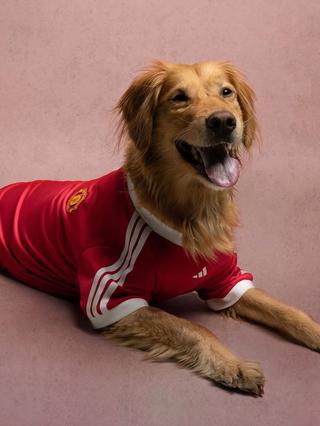 Manchester United 26/27 Pet Home Jersey. Photo via adidas.