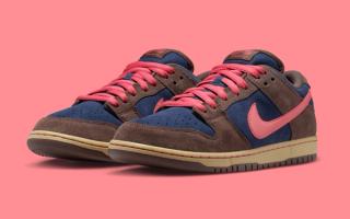 Official Images: Nike SB Dunk Low Pro "Baroque Brown"