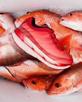 Sneaker Politics x Adidas Originals Adistar HRMY "Red Snapper" collaboration.