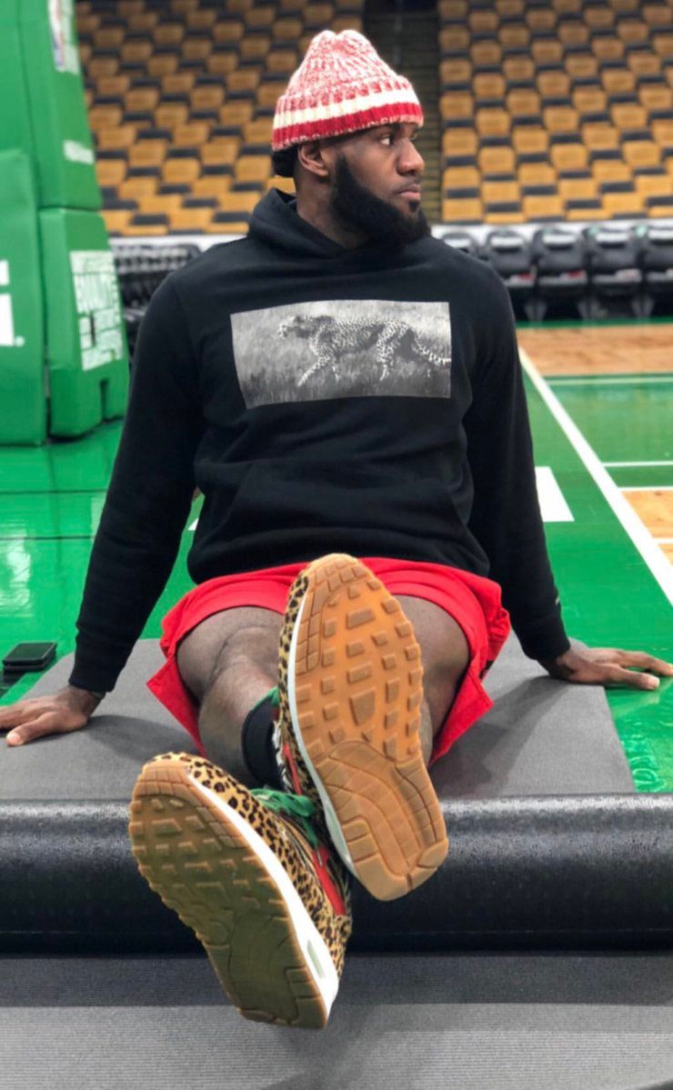 LeBron James // atmos x Nike Air Max 1 "Animal Pack"