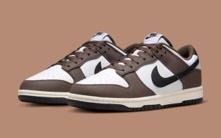 Where to Buy the Hommes nike Dunk Low Next Nature "Cacao Wow"