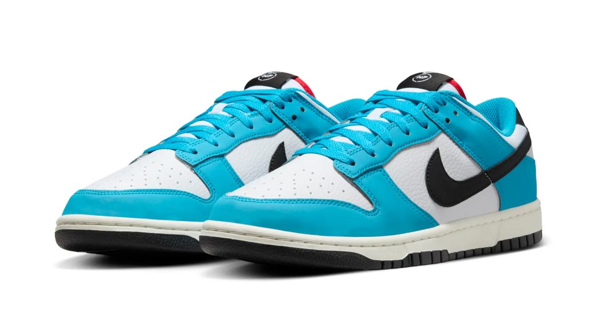 The Nike Dunk Low Next Nature 