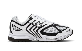 Nike Air Pegasus 2k5