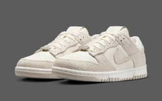 Safari Print and Sun-Style Perforations Surface on the Nike Dunk Low