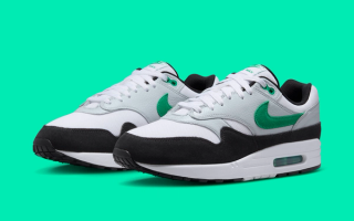 Official Images // Nike nike air max with looney tunes blue bird "Green Chili"