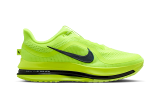 Nike Pegasus Premium