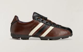 "Dark Brown" The Field Lizzard by Wales Bonner & adidas Y-3.