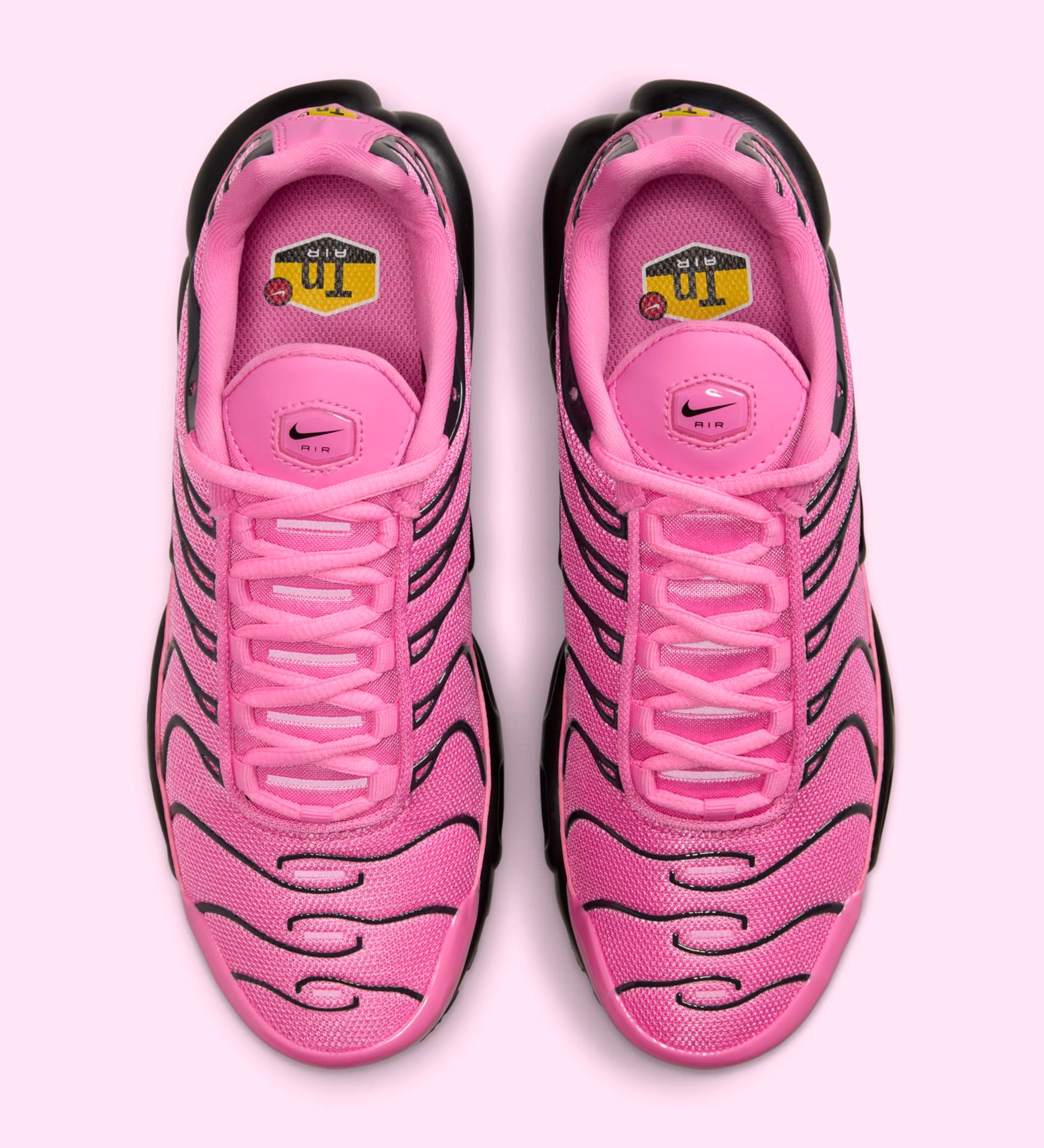 The Nike Air Max Plus 