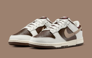 The background Nike Dunk Low lunar Nature Appears In A Mocha Colorway