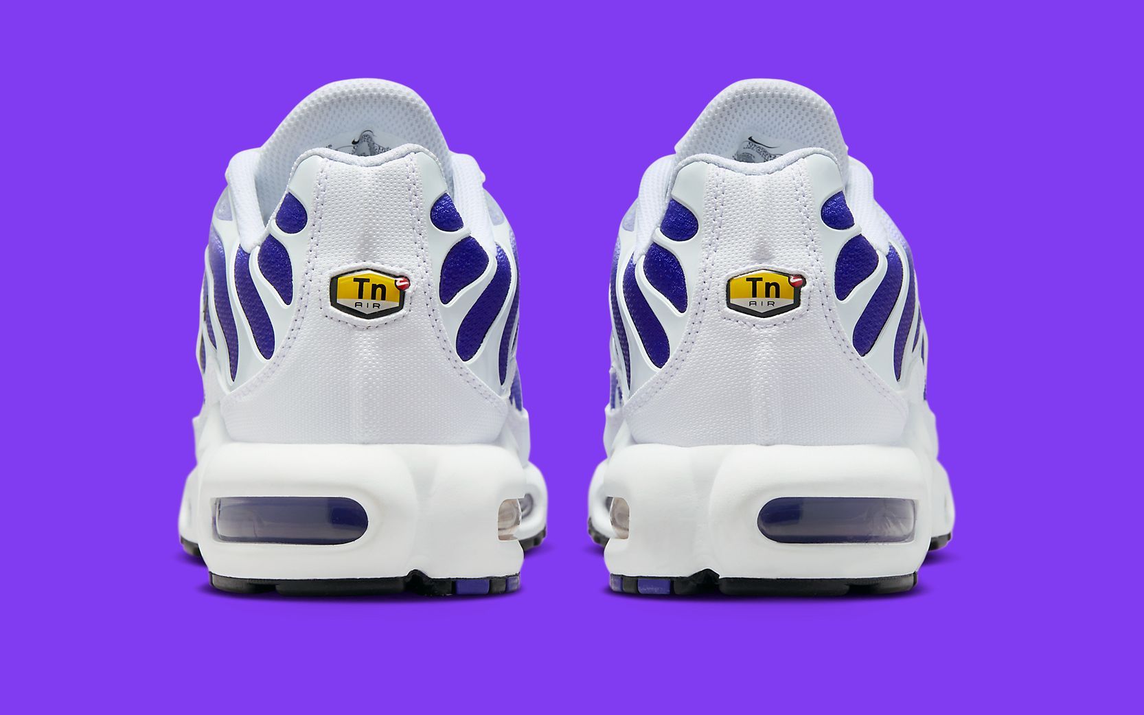 tn purple white