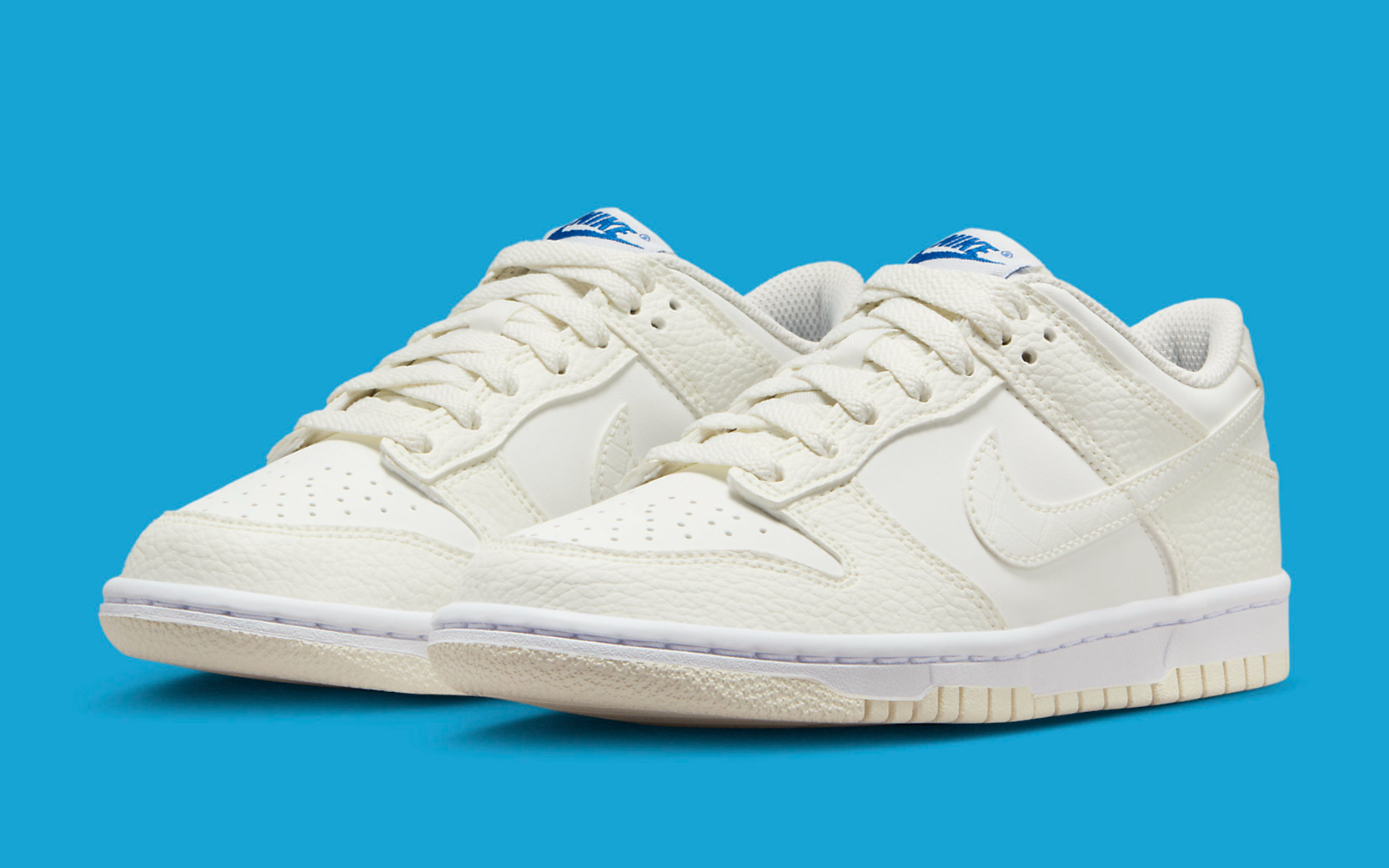 Nike Introduces A New All-Sail GS Dunk Low | House of Heat°